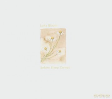 Bloom, Luka: Before Sleep Comes (28 minutes) [CD]