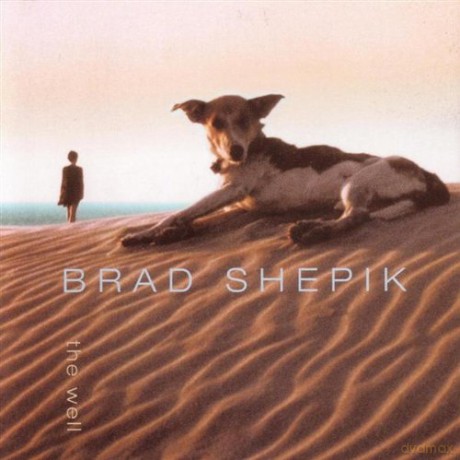 Shepik, Brad (P. Epstein, S. Sverrisson, M. Sarin, S. Salifoski): The Well [CD]