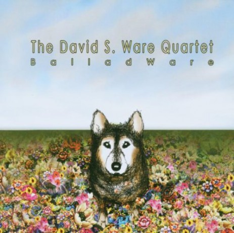 David S. Quartet Ware: Balladware [CD]
