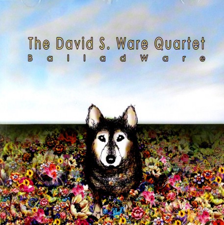 David S. Quartet Ware: Balladware [CD]