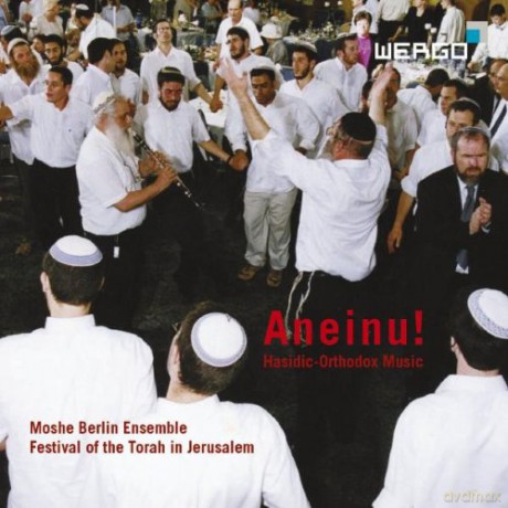 Moshe Berlin Ensemble: Aneinu! [CD]