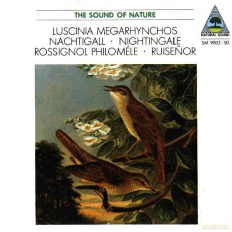 Music from Nature: Nachtigall: Nightingale [CD]