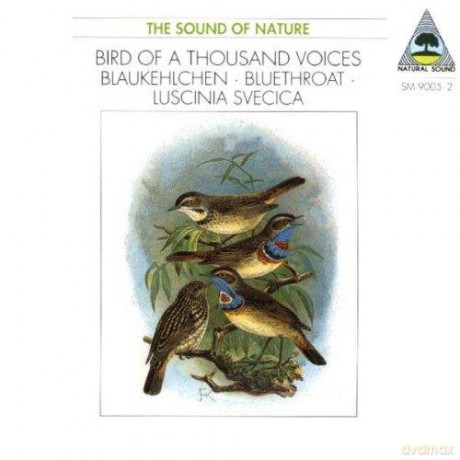 Music from Nature: Blaukehlchen: Bluethroat [CD]