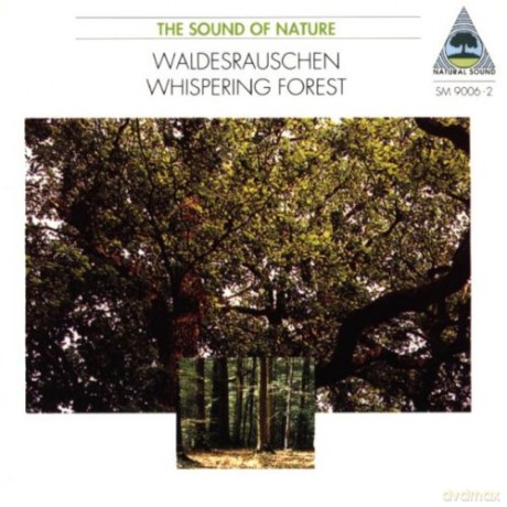 Music from Nature: Waldesrauschen: Whispering Forest [CD]