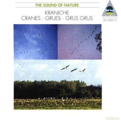 Music from Nature: Kraniche: Cranes [CD]