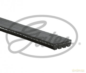 Gates 4PK798SF Pasek klinowy wielorowkowy Renault Nissan Dacia Subaru