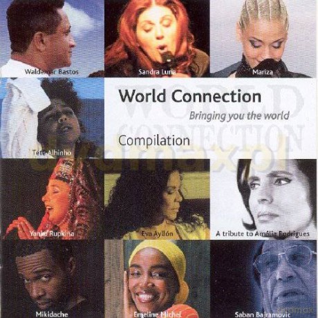Various Artists (Compilation): Bringing You the World [CD]