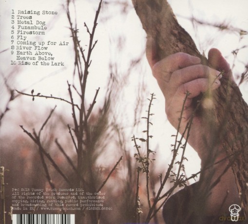 Patrick Dawes: Raising Stone [CD]