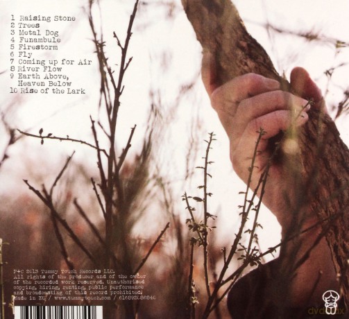 Patrick Dawes: Raising Stone [CD]