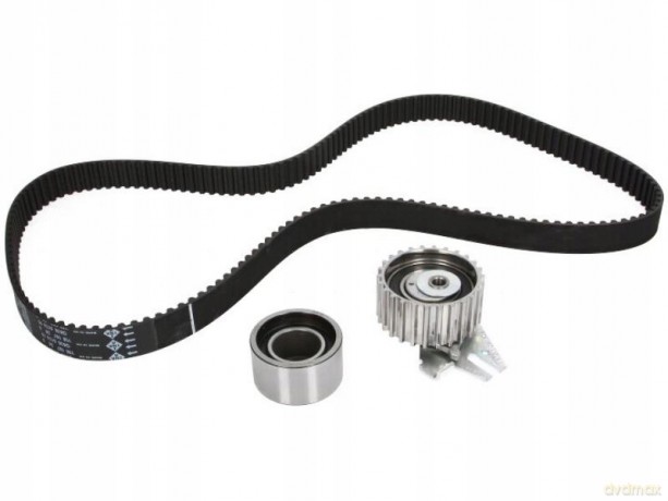 Zestaw paska rozrządu INA 530 0229 10 Fiat Lancia