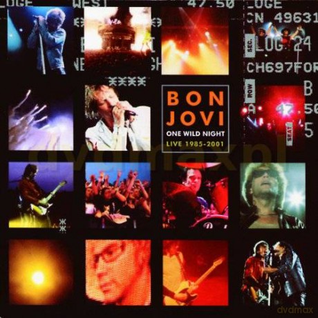 Bon Jovi: One Wild Night [CD]