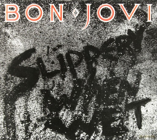 Bon Jovi: Slippery When Wet (Special) (ecopack) [CD]