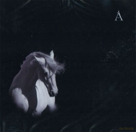 Akwarium: Łoszad belaja [CD]