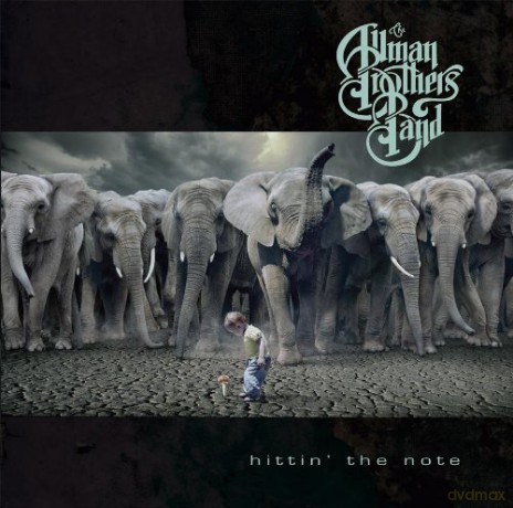 Allman Brothers Band: Hitti n the Note [CD]