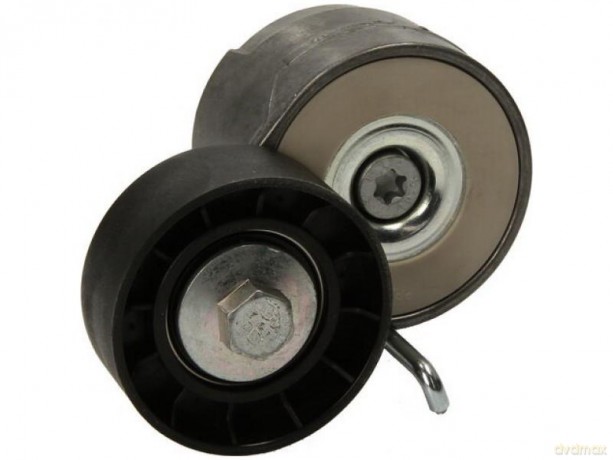 Dayco APV1078 Napinacz paska klinowego wielorowkowego Opel Suzuki Fiat Ford Chevrolet