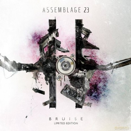 Assemblage 23: Bruise (limited) [2CD]