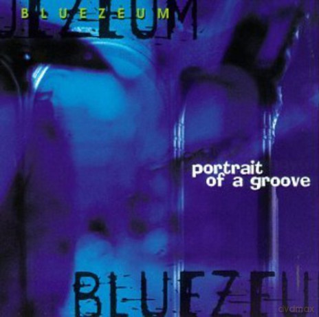 Bluezeum: Portrait Of A Groove [CD]