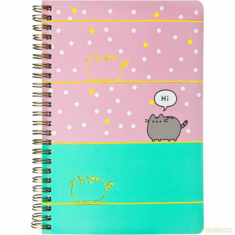 Kołonotes Pusheen push0597