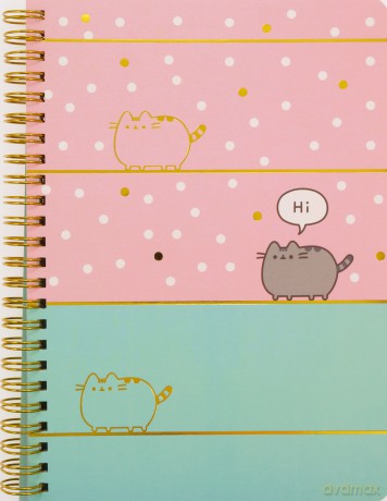 Kołonotes Pusheen push0597