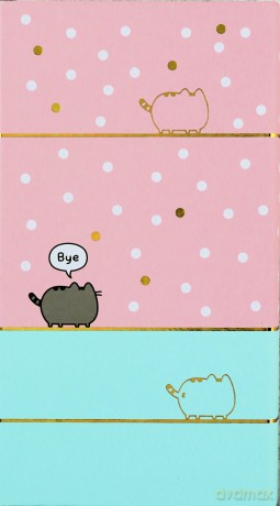 Notes A6 Pusheen push0777