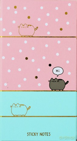 Notes A6 Pusheen push0777