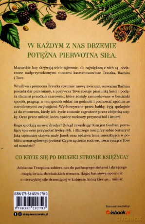Siostry z lasu - Adrianna Trzepiota [KSIĄŻKA]
