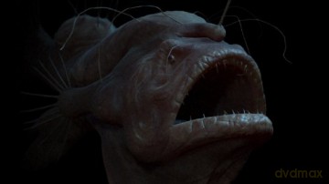 Deep Ocean Experience 3D [Blu-Ray 3D]