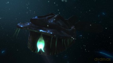 Deep Ocean Experience 3D [Blu-Ray 3D]