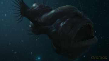 Deep Ocean Experience 3D [Blu-Ray 3D]