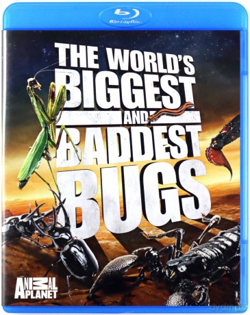 World's Biggest and Baddest Bugs [Blu-Ray]