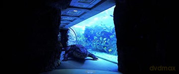 Aquarium of the Dead (Martwe oceanarium) (Mediabook) [Blu-Ray]+[DVD]