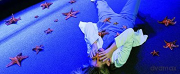 Aquarium of the Dead (Martwe oceanarium) (Mediabook) [Blu-Ray]+[DVD]
