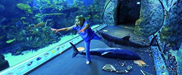 Aquarium of the Dead (Martwe oceanarium) (Mediabook) [Blu-Ray]+[DVD]