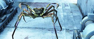 Aquarium of the Dead (Martwe oceanarium) (Mediabook) [Blu-Ray]+[DVD]