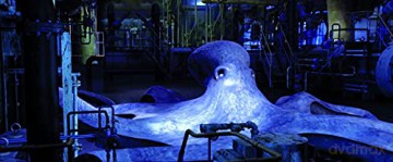 Aquarium of the Dead (Martwe oceanarium) (Mediabook) [Blu-Ray]+[DVD]