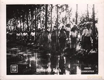 Bitterer Reis (Gorzki ryż) [Blu-Ray]