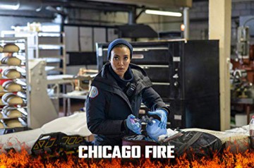 Chicago Fire Staffel 8 (Blu-ray)