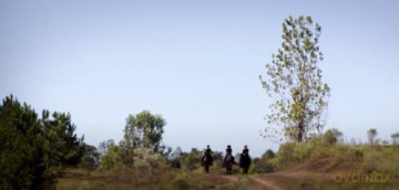 The Duel (Pojedynek) [Blu-Ray]+[DVD]