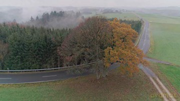 The Hidden Life of Trees (Sekretne życie drzew) [Blu-Ray]