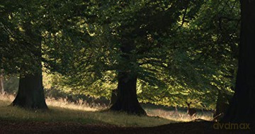 The Hidden Life of Trees (Sekretne życie drzew) [Blu-Ray]