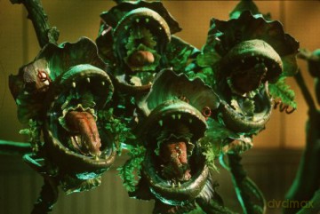 Little Shop of Horrors (Krwiożercza roślina) [Blu-Ray]