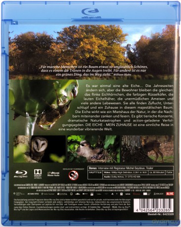 Heart of Oak (Serce dębu) [Blu-Ray]