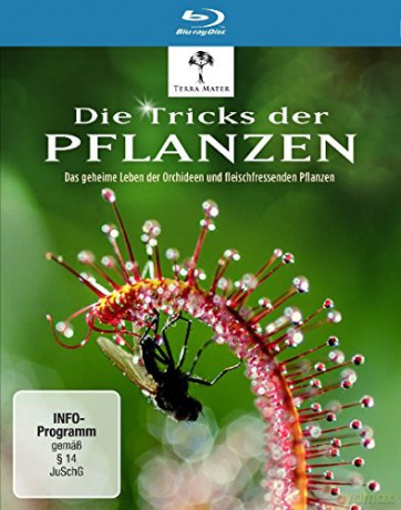 Die Tricks der Pflanzen (Blu-ray)