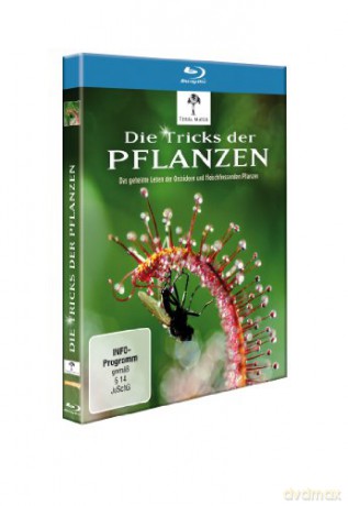 Die Tricks der Pflanzen (Blu-ray)