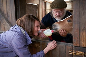Dream Horse (Wymarzony koń) [Blu-Ray]