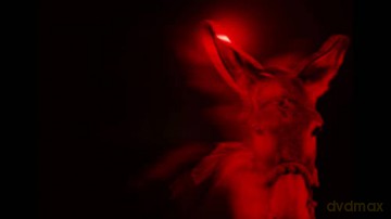 EO (IO) [Blu-Ray]