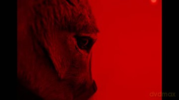 EO (IO) [Blu-Ray]