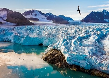 Frozen Planet 2 (Lodowa planeta) [2xBlu-Ray]