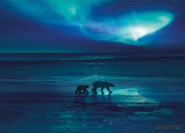 Frozen Planet 2 (Lodowa planeta) [2xBlu-Ray]