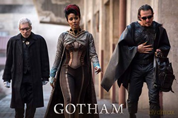 Gotham Complete Series [20xBlu-Ray]